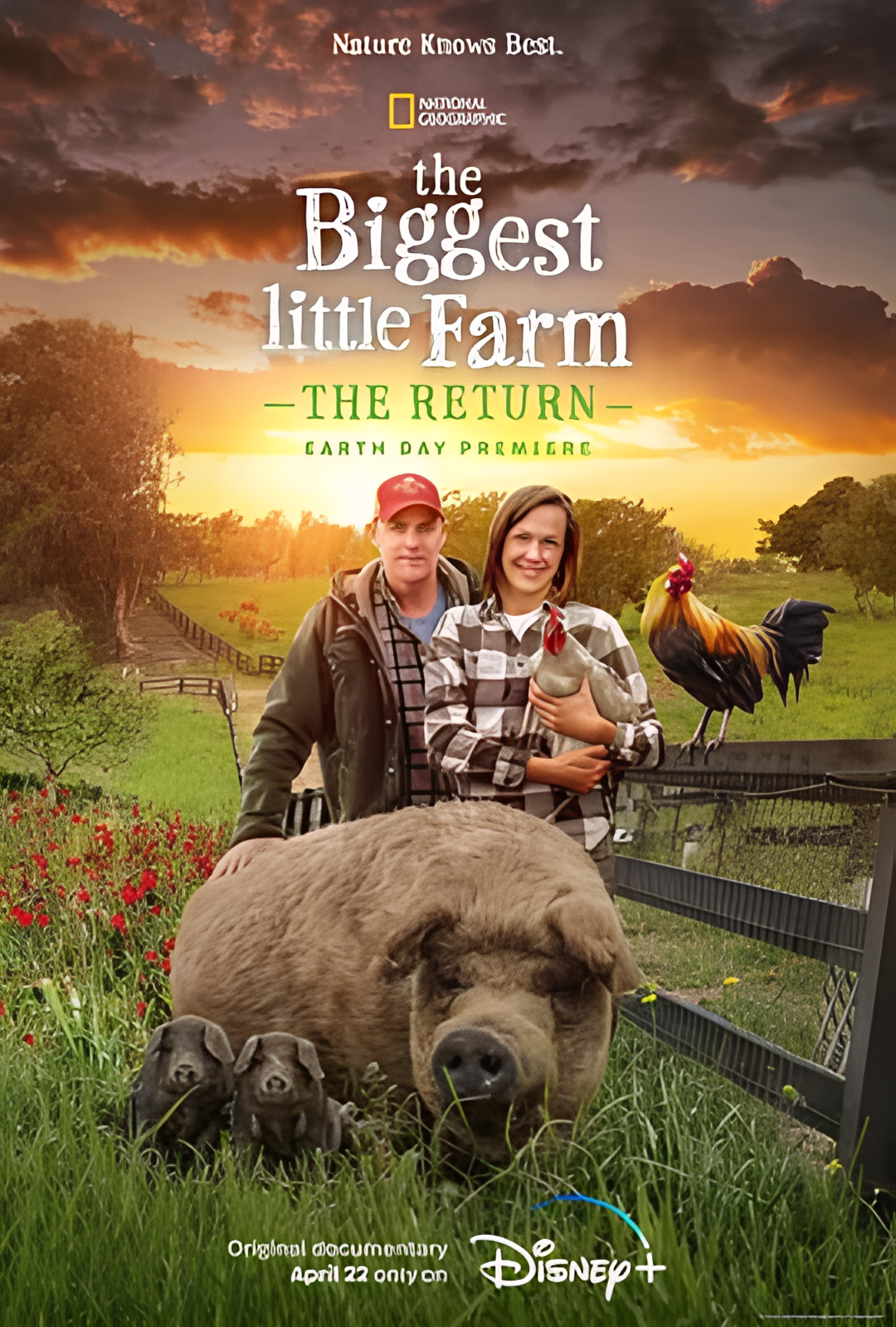 最大的小小农场：回归