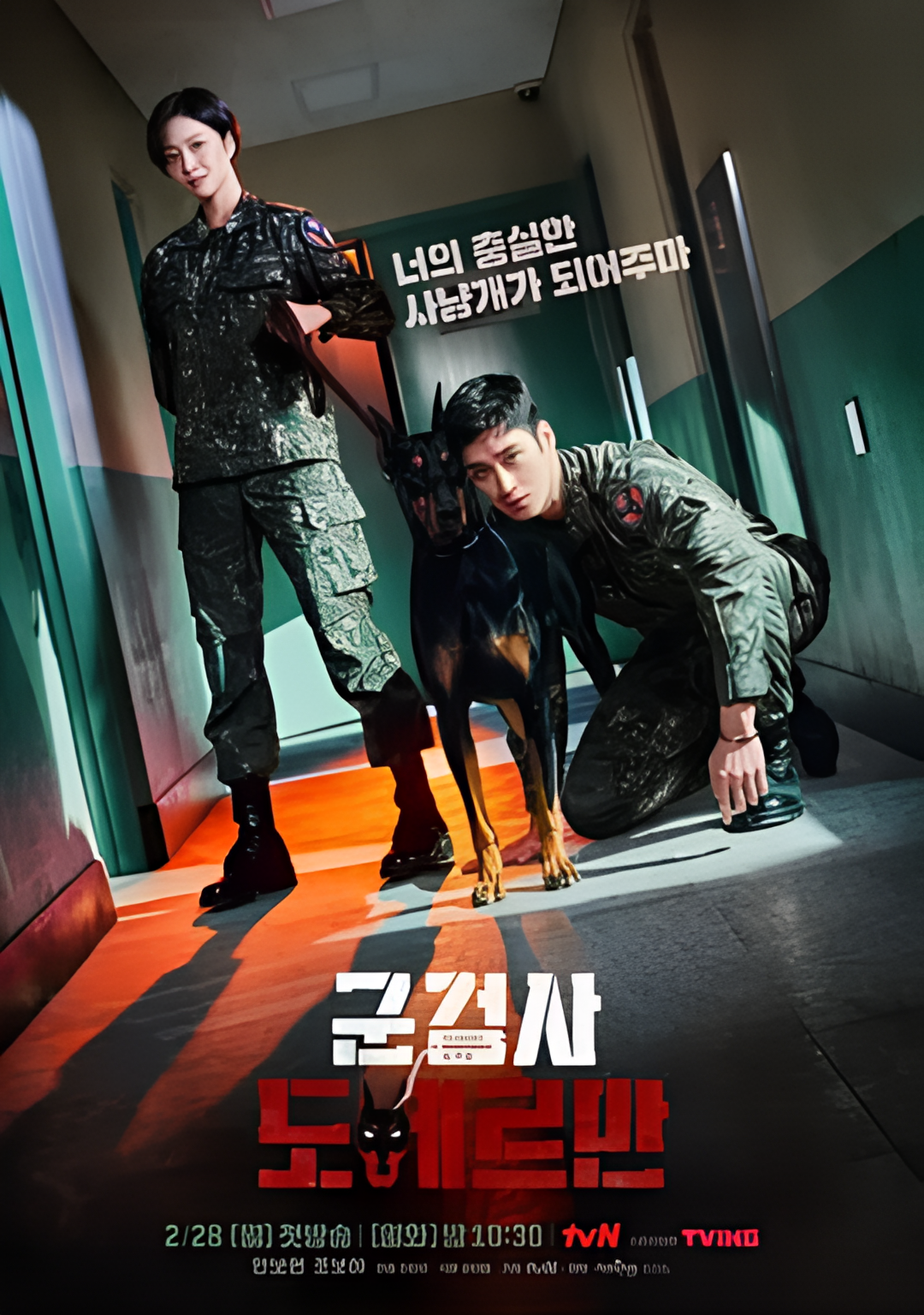 军检察官多伯曼犬